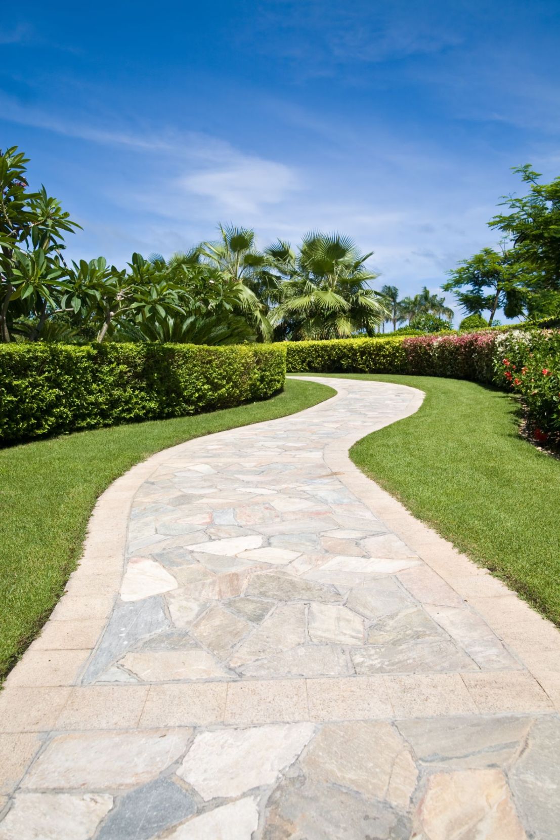 affordable paving contractor near tampa florida