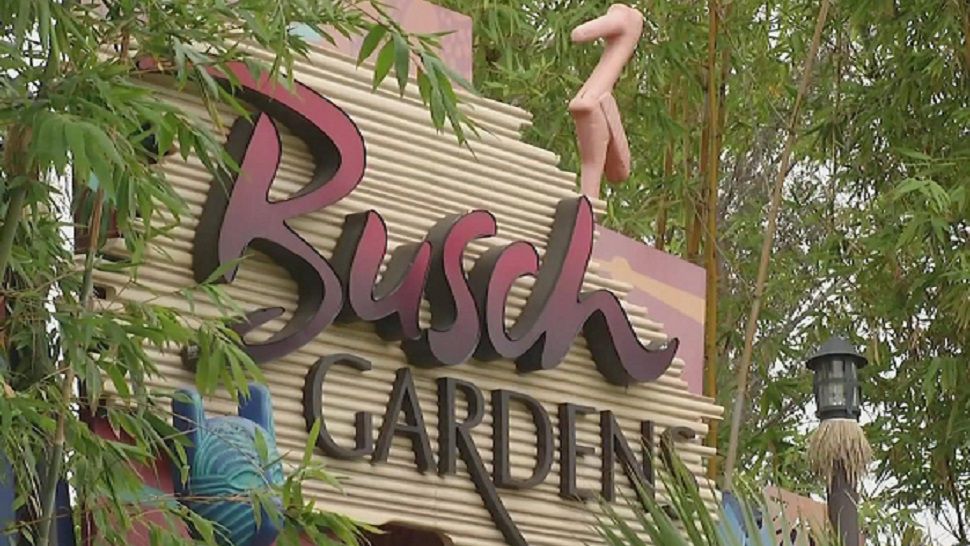 Busch Gardens is the Place to Visit